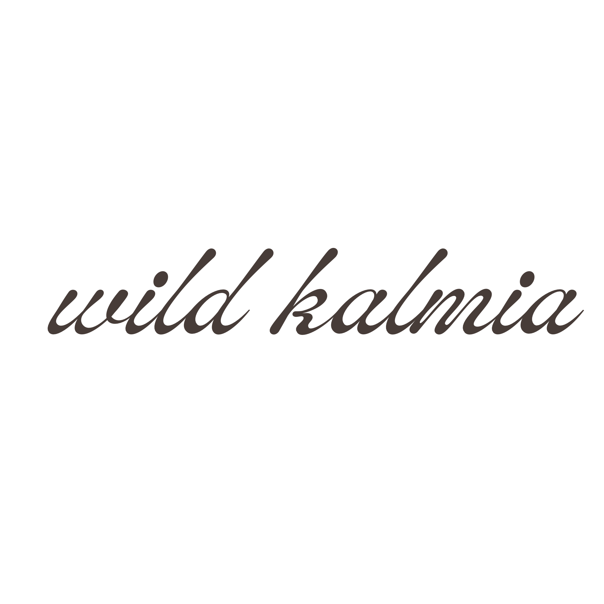 Wild Kalmia